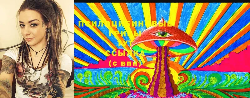 Псилоцибиновые грибы MAGIC MUSHROOMS  Моздок 